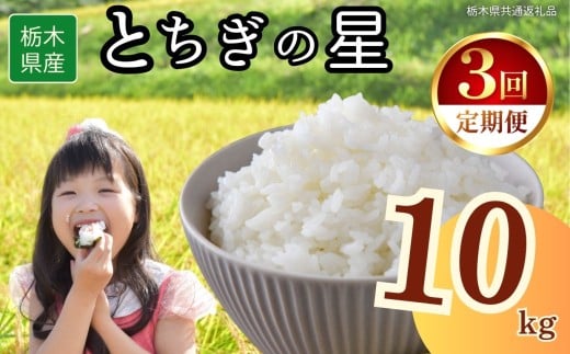 【定期便3回】栃木県産とちぎの星 10kg | 2025年 2025年米 令和7年米 秋 白米 ごはん ご飯 小分け 人気 おいしい 旨い おにぎり おむすび お弁当 限定 栃木県共通返礼品 栃木県 下野市 送料無料