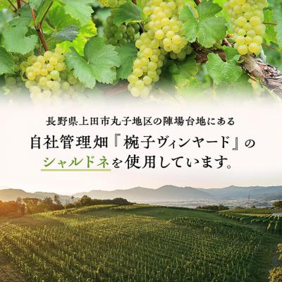 ふるさと納税 上田市 ワイン 椀子シャルドネ 750ml 3本 シャトー・メルシャン シャルドネ 白[54041141] |  | 02