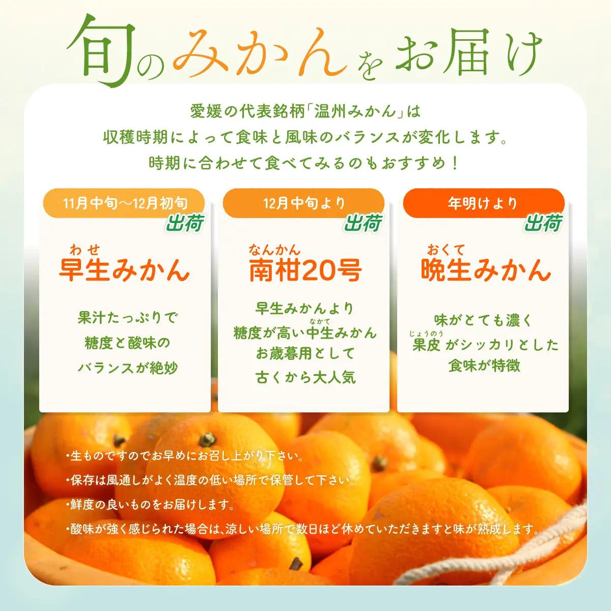 【先行受付】小林果園の愛媛みかん(約5kg)【訳あり】【C24-15】【1124421】 YWTAD008