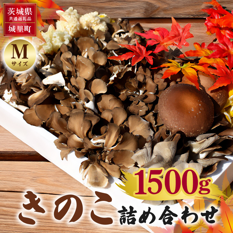 きのこの詰め合わせ Mサイズ 1.5Kg 茨城県共通返礼品 城里町産 舞茸 椎茸 あわび茸 たもぎ茸 はなびら茸 完全室内栽培 栽培期間中農薬不使用 安心 安全 栄養豊富 こだわりのキノコ詰め合わせ 直送 新鮮 旬 おすすめ セット 贈り物 A79-002