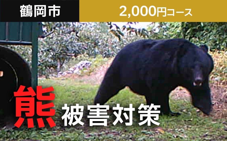 
            【返礼品なし】熊被害対策支援(鶴岡市)　寄附額2,000円コース
          