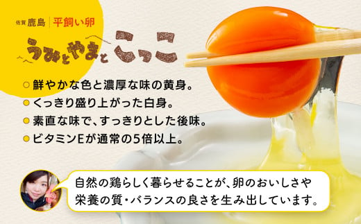 たまご 【定期便】佐賀県鹿島産 平飼い卵「うみとやまとこっこ」上田養鶏場 たまご20個×2回 タマゴ 玉子B-396