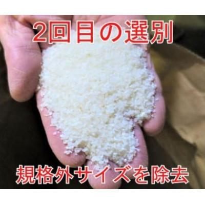 ふるさと納税 大仙市 【毎月定期便】全7回 15kg(5kg×3袋) 大手有名百貨店出荷米　あきたこまち全7回 |  | 01