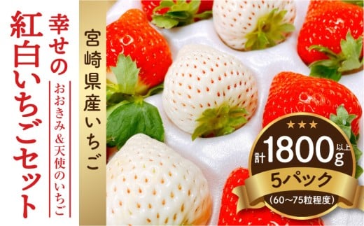 《2026年発送》【数量・期間限定】宮崎県産 幸せの紅白いちごセット(おおきみ&天使のいちご)5パック_M260-008