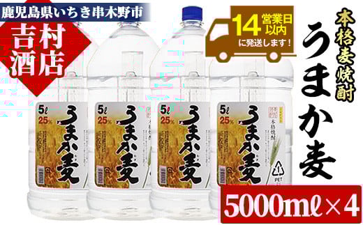 本格麦焼酎「うまか麦」(計20L・5L×4本)！国産 九州産 鹿児島 酒 焼酎 麦焼酎 家飲み セット【吉村酒店】【E-044H】