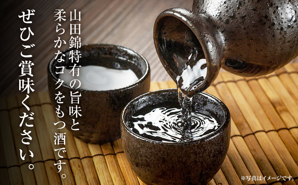 純米吟醸　綾花（720ml×1本）　AB06