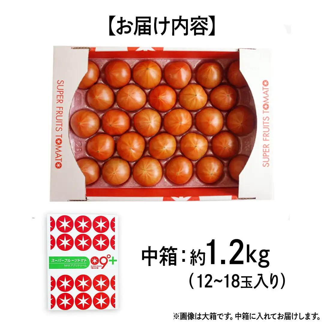 【母の日専用】 スーパーフルーツトマト 中箱 約1.2kg ×1箱 糖度9度以上 《5月3日～9日お届け メッセージカード付》
