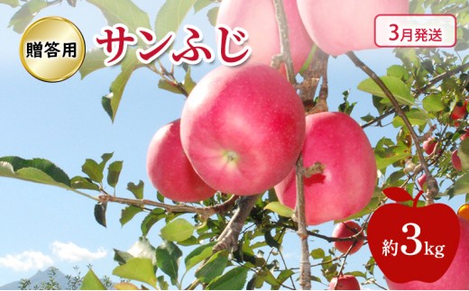 
                  [№5554-0238]りんご 【 3月発送 】糖度13度～ 贈答用 サンふじ 約 3kg
                