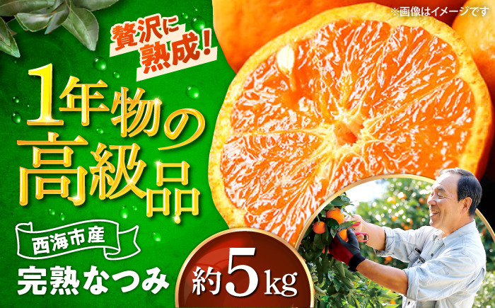 
                  みかん 【4月下旬より発送開始】みかん ハウス木成完熟なつみ 約5kg みかん ＜原口果樹園＞ [CCW006] mikan みかん 長崎県 西海市 みかん ミカン 蜜柑 柑橘 みかん 5kg 贈答 ギフト 果物 くだもの フルーツ ふるーつ みかん なつみ 蜜柑 かんきつ マンダリン みかん かんきつ ミカン 佐賀県産 みかん 甘い 高糖度 糖度 あまい 
                