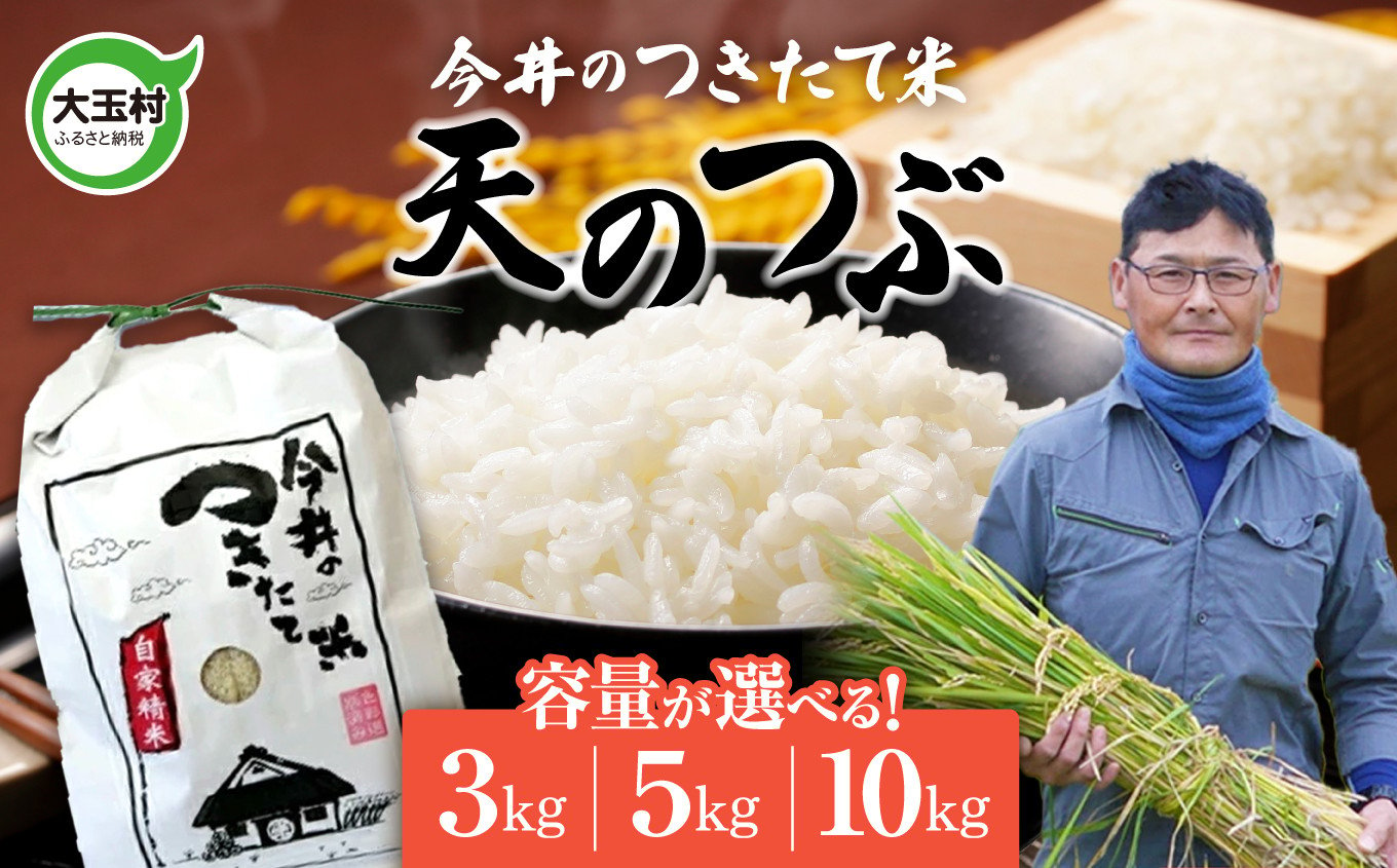 
            米 大玉村 天のつぶ 内容量が選べる 3kg / 5kg / 10kg 【 令和6年産  新米 】【今井のつきたて米】 福島県 大玉村 福島 大玉 てんのつぶ テンノツブ 白米 精米 今井農園 ｜ OT08-020-R6
          