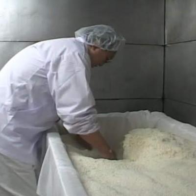 ふるさと納税 遠野市 生米麹 2kg(500g×4袋) 【大徳屋】岩手県遠野市産 箱蓋製造 |  | 03