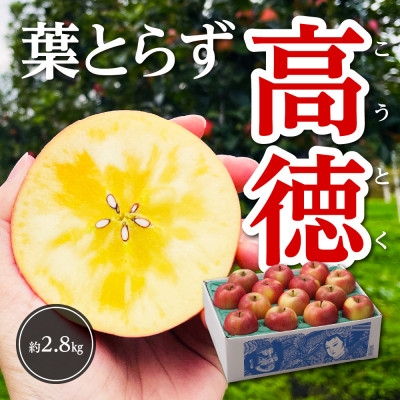 
                  ＜令和7年11月上旬～発送＞今年もお届け。味にこだわる生産者から「葉とらずこうとく」2.8kg【1124030】
                