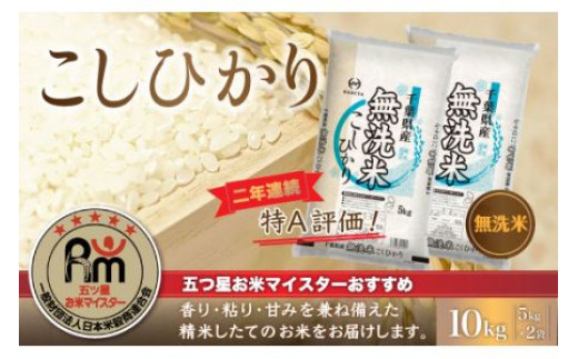 【新米】令和6年産 2年連続特A評価!千葉県産コシヒカリ10kg無洗米（5kg×2袋） 無洗米 10kg 千葉県産 大網白里市 コシヒカリ お米 米 こめ 送料無料