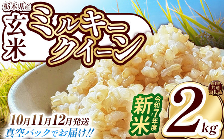 栃木県共通返礼品】【12月発送】【数量限定】令和7年度新米 栃木県産ミルキークイーン（玄米真空パック） 2kg  | 玄米 精米 お米 コメ ミルキークイン 先行予約 ブランド米 栃木県 特産品  下野市 送料無料