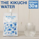 【ふるさと納税】THE KIKUCHI WATER 500ml×30本 合計15L 天然水 飲料水 ミネラルウォーター シリカ含有 アルミパウチ パウチ 国産 九州産 熊本県産 菊池市産 送料無料