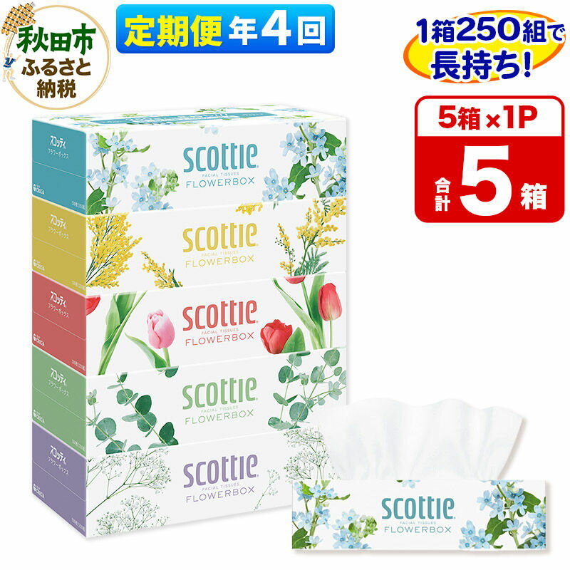 【ふるさと納税】《3ヶ月ごとに4回お届け》定期便 ティッシュペーパー スコッティ ティシュー フラワーボックス 250組 5箱パック×1パック 秋田市オリジナル 最短翌日発送