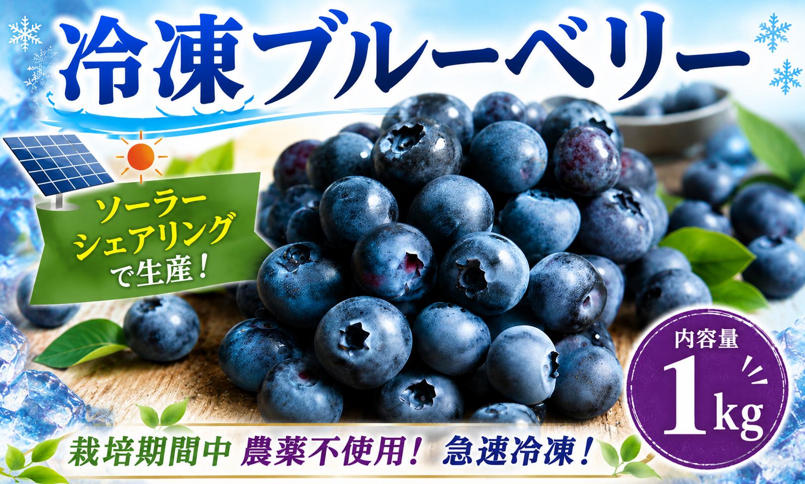 
                  冷凍ブルーベリー 1kg 【 数量限定 】 急速冷凍 ソーラーシェアリング生産 栽培期間中農薬不使用 選別有 ブルーベリー ぶるーべりー ブルーべりー ぶるーベリー 冷凍 新鮮 国産 フルーツ ふるーつ 果物 くだもの 千葉県 香取市 ENS002
                