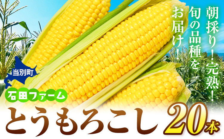 
[1.35-218] 石田ファーム とうもろこし詰め合わせ２０本セット 北海道 当別町
