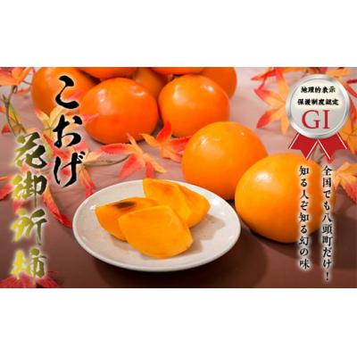 ふるさと納税 八頭町 こおげ花御所柿 5kg