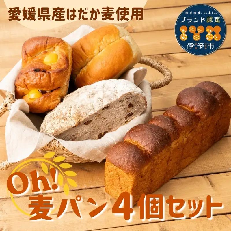 【愛媛県産はだか麦使用】Ｏｈ！麦パン ４個セット｜B66