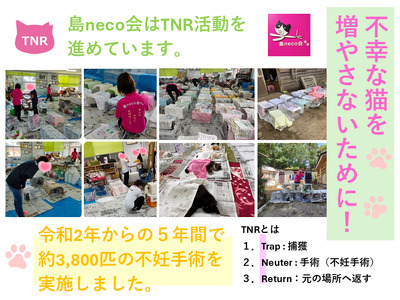 【返礼品なし】猫愛護活動支援 NFN640 【200PT】// 特定非営利活動法人　種子島 島neco会