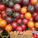 【ふるさと納税】カラフルトマト 5種 MIX フルティカ ＜約900g×3回 定期便＞ 糖度訳あり ミニトマト フルーツトマト ましまファーム アイメック 【常温】送料無料 第1回 第2回 連続入賞 全国ミニトマト選手権 銅賞 高知県 【4月～8月頃発送】