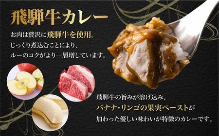  訳あり 飛騨牛カレー (5袋) ビーフカレー 飛騨牛 カレー  レトルトカレー  訳あり 簡易包装  ふるさと清見 訳あり TR3295