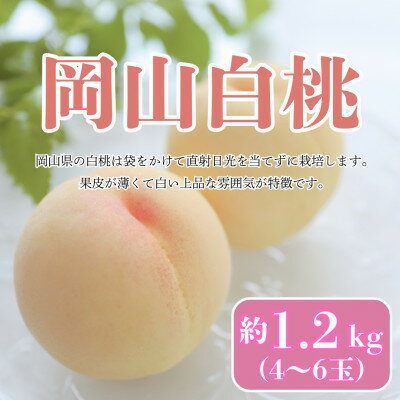 【ふるさと納税】【2025年発送】【7月発送】岡山白桃　約1.2kg(4～6玉)【配送不可地域：離島・北海道・沖縄県】【1411059】