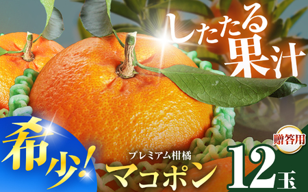 紅モンスター マコポン玉 贈答用 12玉 | フルーツ 果物 くだもの 果実 柑橘 柑橘類 まこぽん マコポン オレンジ ゼリーオレンジ 不知火 国産 中津市産 産地直送 大分県 中津市