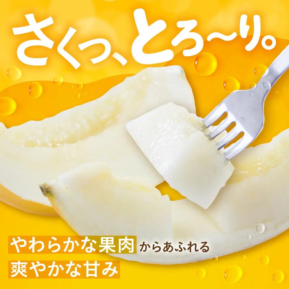 【先行予約】イエローキングメロン 4～6玉 メロン 