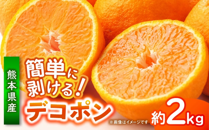 
                  デコポン 約2kg 柑橘 みかん 蜜柑 熊本 フルーツ 果物 【日本フルーツ株式会社】 [ZFJ032]
                