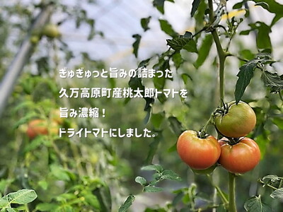 ドライトマト 100g｜旨味凝縮（約15〜20倍）久万高原町産 桃太郎トマト使用｜升田農園 料理用 おつまみ ※2026年7月～発送