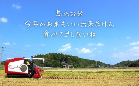 【 本氣米3kg：きぬむすめ】甘くてもっちり島のブランド米 本氣米 お米 精米 白米 弁当 ごはん ご飯 おにぎり 年末年始 お正月 お歳暮 御歳暮 ギフト
