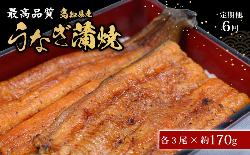 【6回定期便】 うなぎ蒲焼 約170g×3尾 高知県産 最高品質 合計約510g たれ 山椒 国産 鰻 かば焼 土佐焼 うな丼 うな重 高知県 南国市