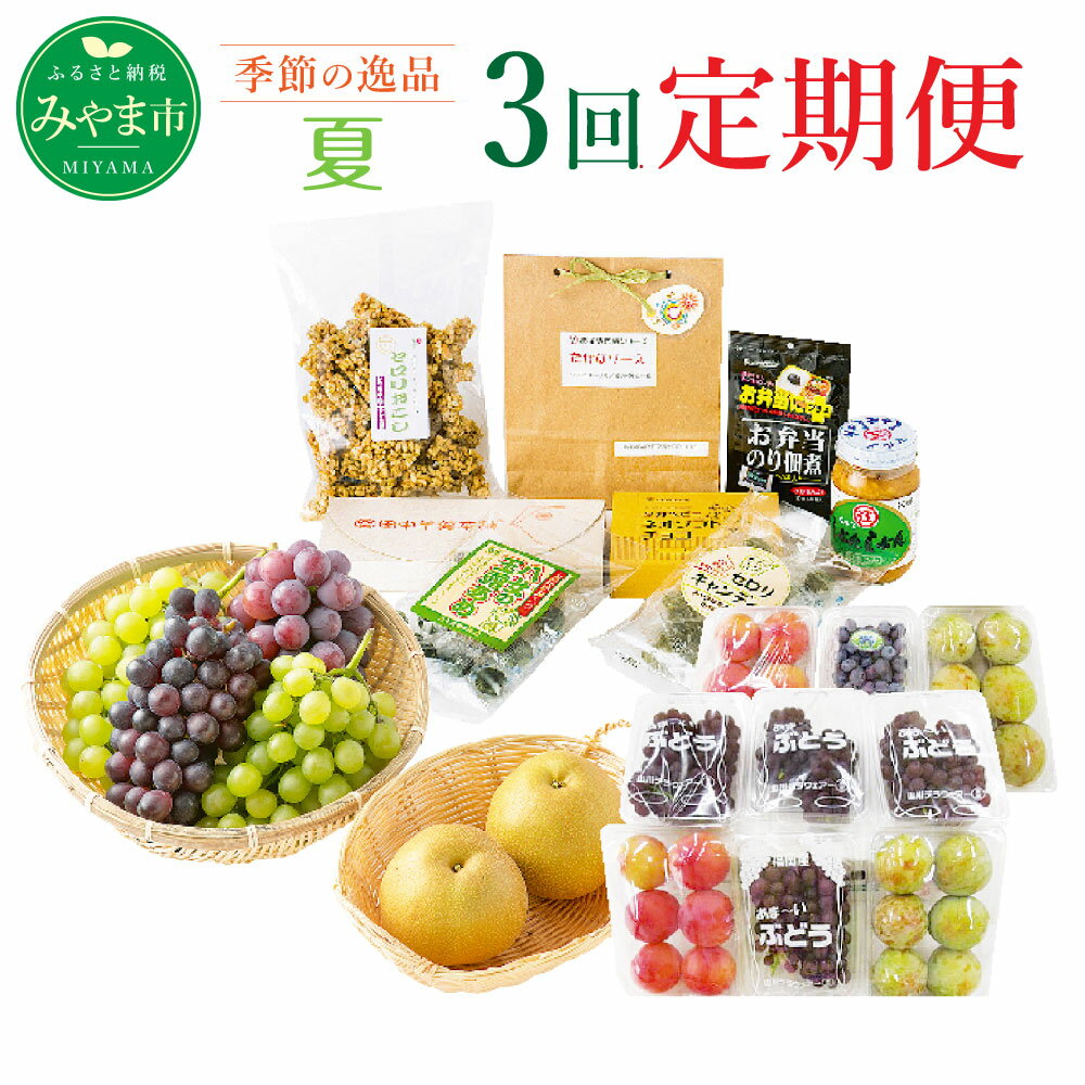 【ふるさと納税】C2 【3回定期便】季節の逸品 夏 計3回 フルーツ 野菜 葡萄 ぶどう デラウェア ピオーネ スモモ すもも 梨 ブルーベリー カレー ジャム 旬 セット 詰め合わせ 福岡県産 九州産 定期発送 定期便 送料無料