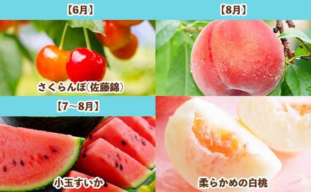 【定期便7回】旬です！YAMAGATA＊FRUIT FY25-285