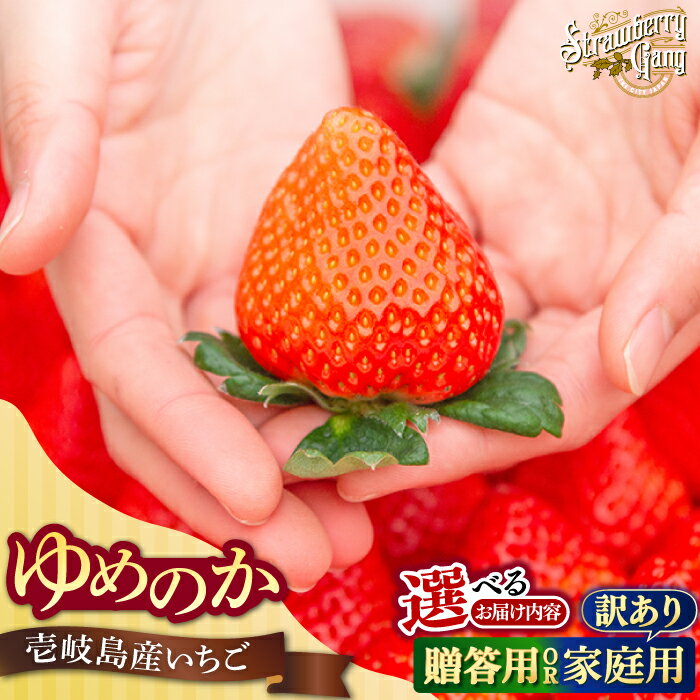 【ふるさと納税】【選べる贈答用/訳あり】ゆめのか 約250g×4パック《壱岐市》【Strawberry Gang】 [JEM001/003] セット いちご イチゴ 苺 果物 フルーツ スムージー 訳あり