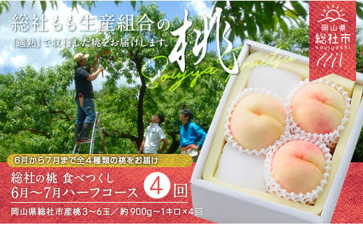 
【4回定期便】桃 食べつくしハーフコース（6月～7月の桃）岡山県総社もも生産組合【2025年産先行予約】25-056-001
