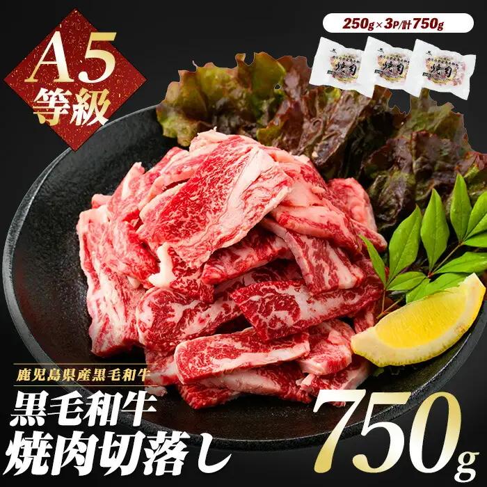 黒毛和牛 A5等級 鹿児島県産 黒毛和牛 焼肉 切り落とし750g IB112-016