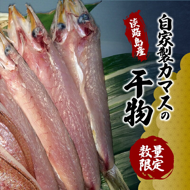 【ふるさと納税】淡路島産 自家製カマスの干物 数量限定 カマス 干物 朝食 晩酌 兵庫県 洲本市 淡路島　お届け：2025年9月下旬～2025年11月下旬まで