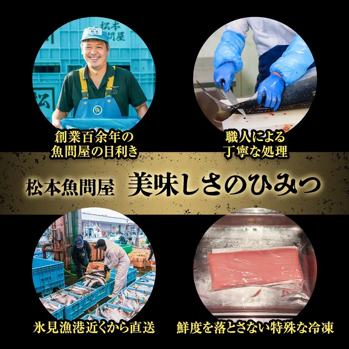 【偶数月 全3回 定期便】氷見漁港 海鮮刺身セット | 詰め合わせ 冷凍 刺身