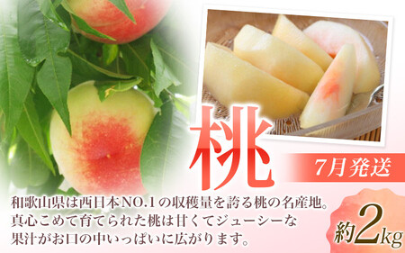 【定期便全3回】産直・厳選フルーツ定期便