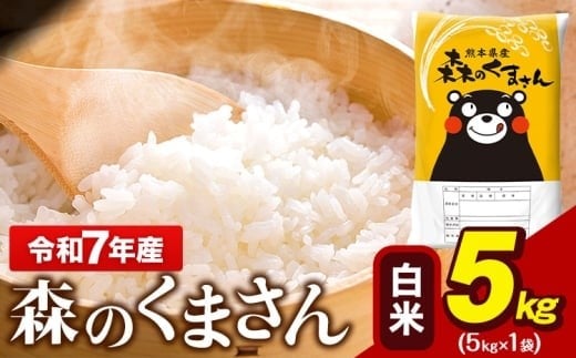 令和7年産 森のくまさん 5kg × 1袋  白米 熊本県産 単一原料米 森くま《7-14日以内に出荷予定(土日祝除く)》 送料無料