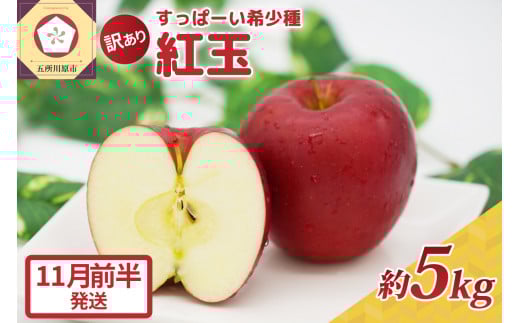 紅玉5kg 程度 紅玉リンゴ 訳あり 青森|タルトタタン に最適 不揃い りんご 【11月前半発送】