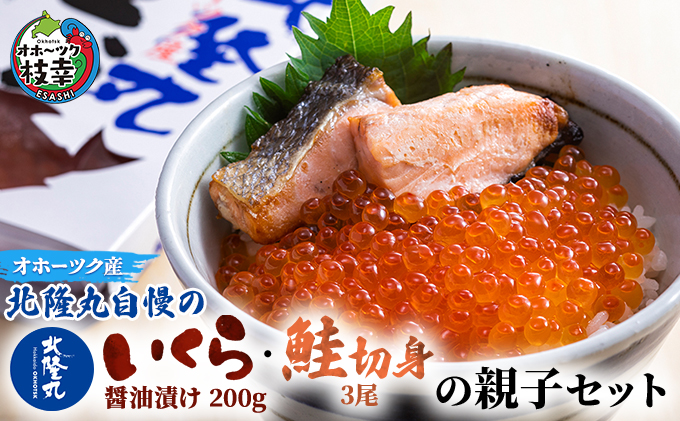 北隆丸自慢のいくら醤油漬け200g・鮭切身3尾の親子セット オホーツク枝幸産【 いくら イクラ 鮭 サケ サーモン 鮭卵 魚卵 魚貝 魚介 加工食品 北海道 オホーツク 枝幸 】