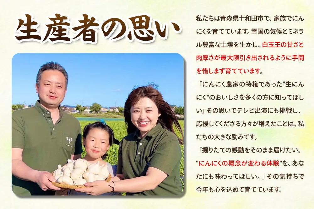 先行受付【テレビ紹介】青森 幻の生にんにく10玉（農家直送・収穫期だけの限定品） 青森にんにくファーム