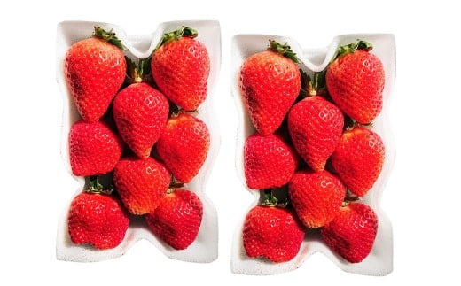 【3ヶ月定期便】 あまおう 2パック×3回 （計6パック） 【2026年2月上旬～4月上旬発送予定】 いちご イチゴ 果物 果実 フルーツ 福岡県 太宰府市 冷蔵