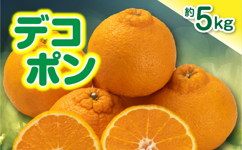 
                  ご家庭用デコポン約5kg 濃厚ぷりっぷりっ♪
                