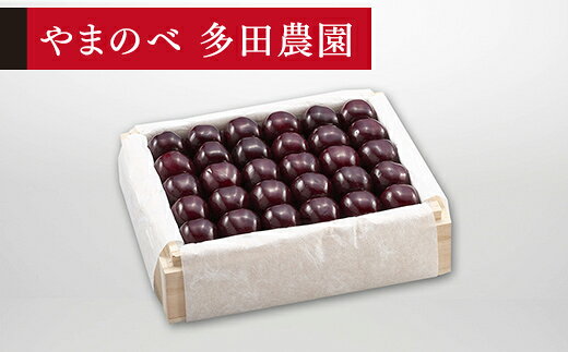 【ふるさと納税】《先行予約》2027年 山形県産 特選サミット 桐箱詰め 約500g やまのべ多田耕太郎のさくらんぼ ギフト 贈答 贈り物 送料無料 F20A-788