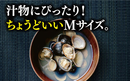 宍道湖産 冷凍大和しじみ 砂抜き済 Mサイズ 2.4kg　23010-19